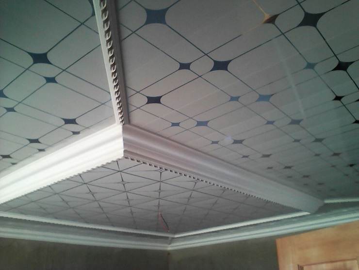 Makua Services Ceiling