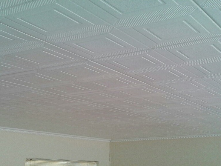 Makua Services Ceiling